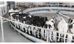 Доильный зал карусельного типа DairyRotor T8900