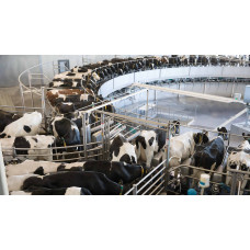 Доильный зал карусельного типа DairyRotor T8900