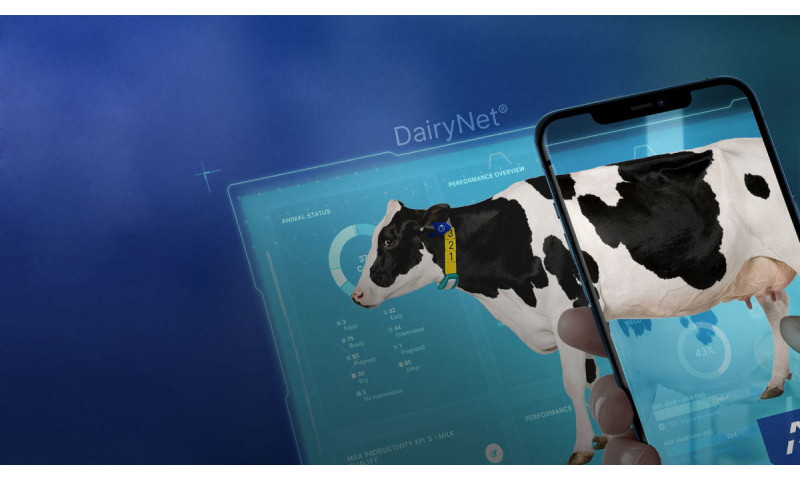 DairyNet - Система управления стадом и молочной фермой