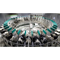 DairyProQ