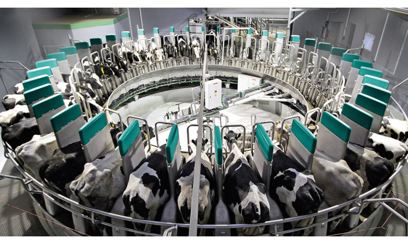 DairyProQ
