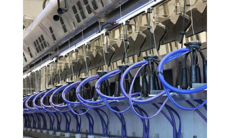 Доильная система DeLaval P500