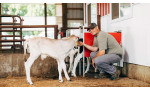 Lely Calm Lely Calm