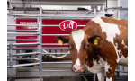 Lely Astronaut A5